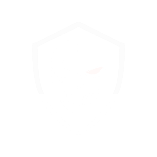 Logo CyberSkull (claro)